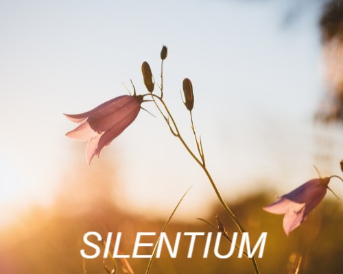 Silentium - cisza